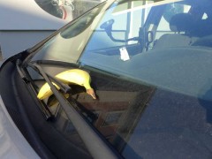 banana speeding ticket