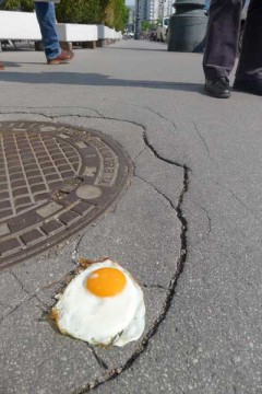 fried egg on the street